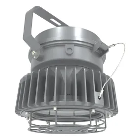 80 Watts, LED Explosion Proof Lights, Hazardous High Bays, 5000K, 120-277V, Surface and Pendant Mount