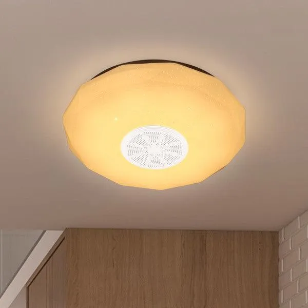 Bluetooth Wireless RGB Music Ceiling Light