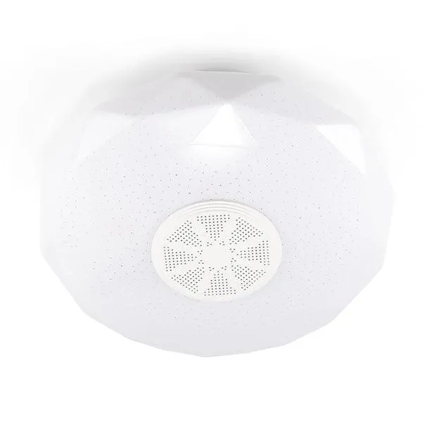 Bluetooth Wireless RGB Music Ceiling Light