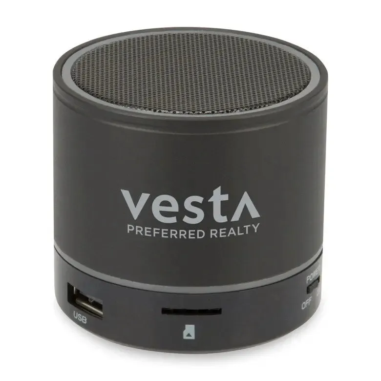 iLive Portable Wireless Speaker