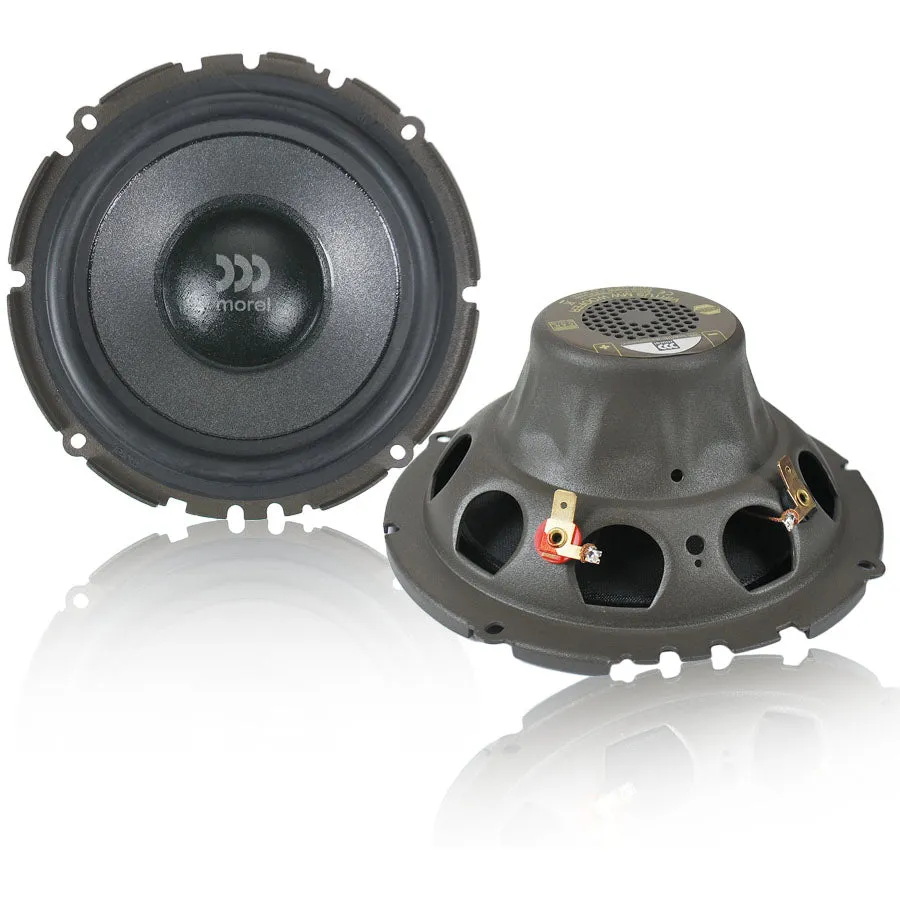 Morel Virtus 603