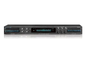 Pro Dual 10 Band Equalizer