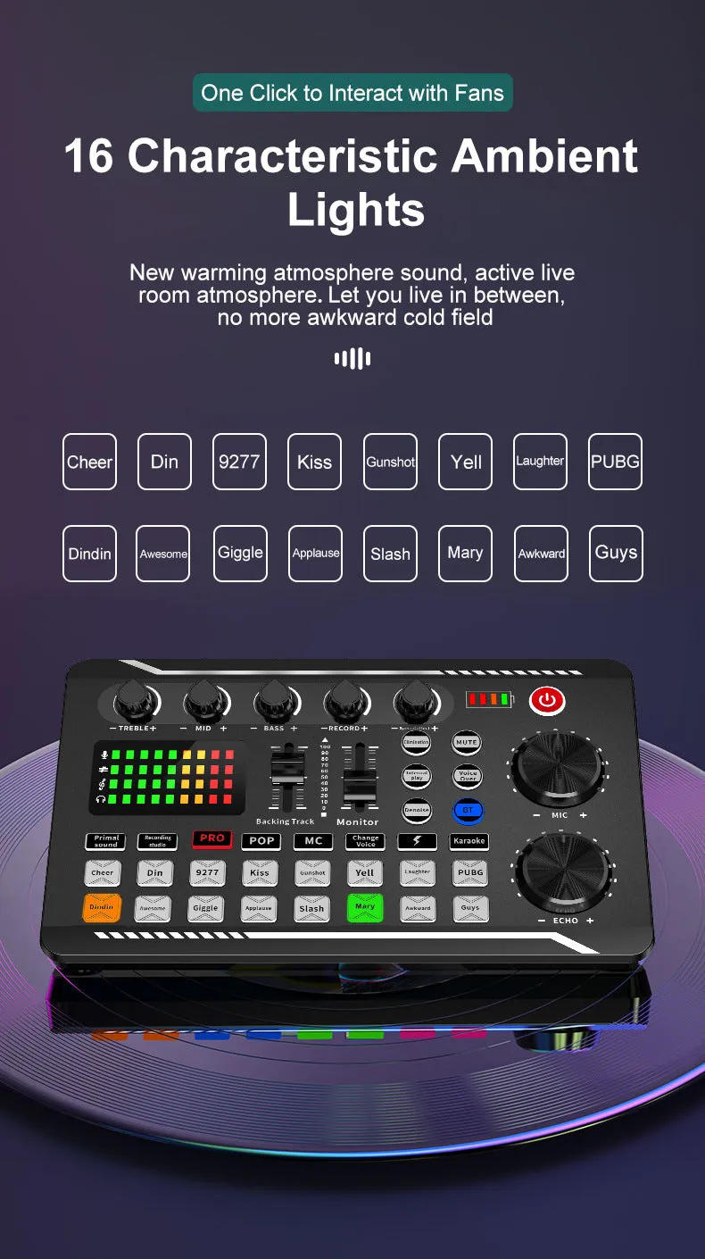 Professional Audio Mixer