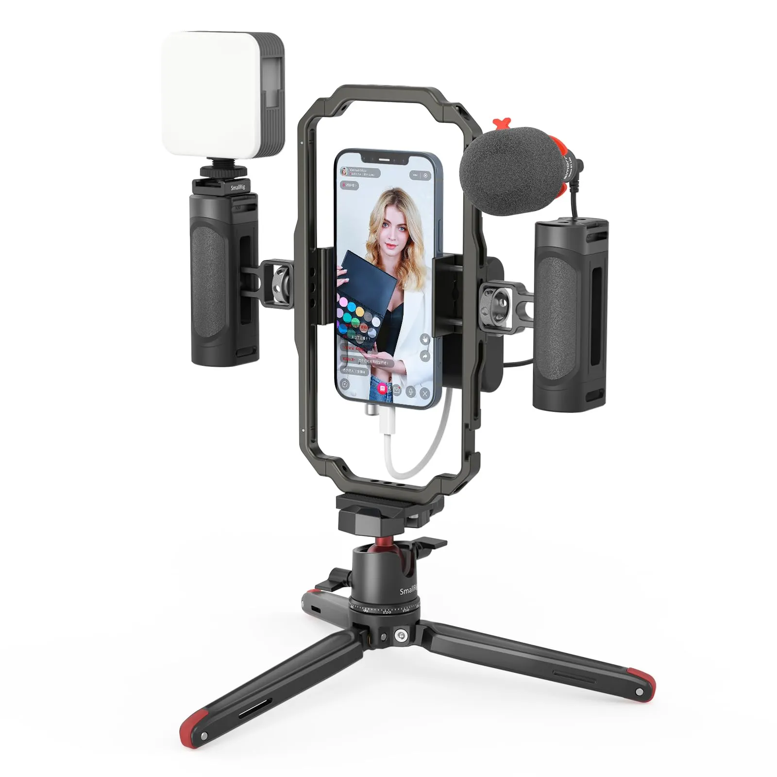 SMALLRIG 3384-US Professional Phone Video Rig Kit for Vlogging & Live Streaming, Black
