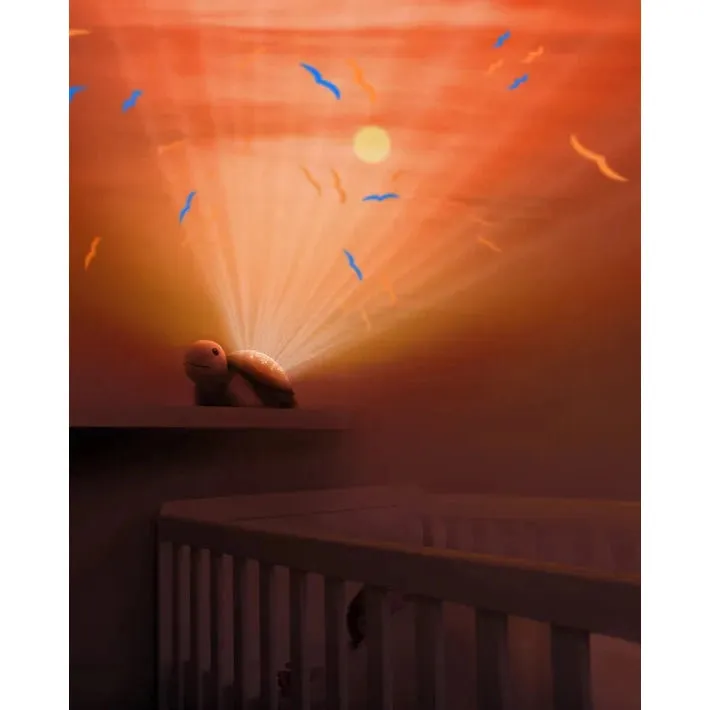 Sunset Projector - Tim